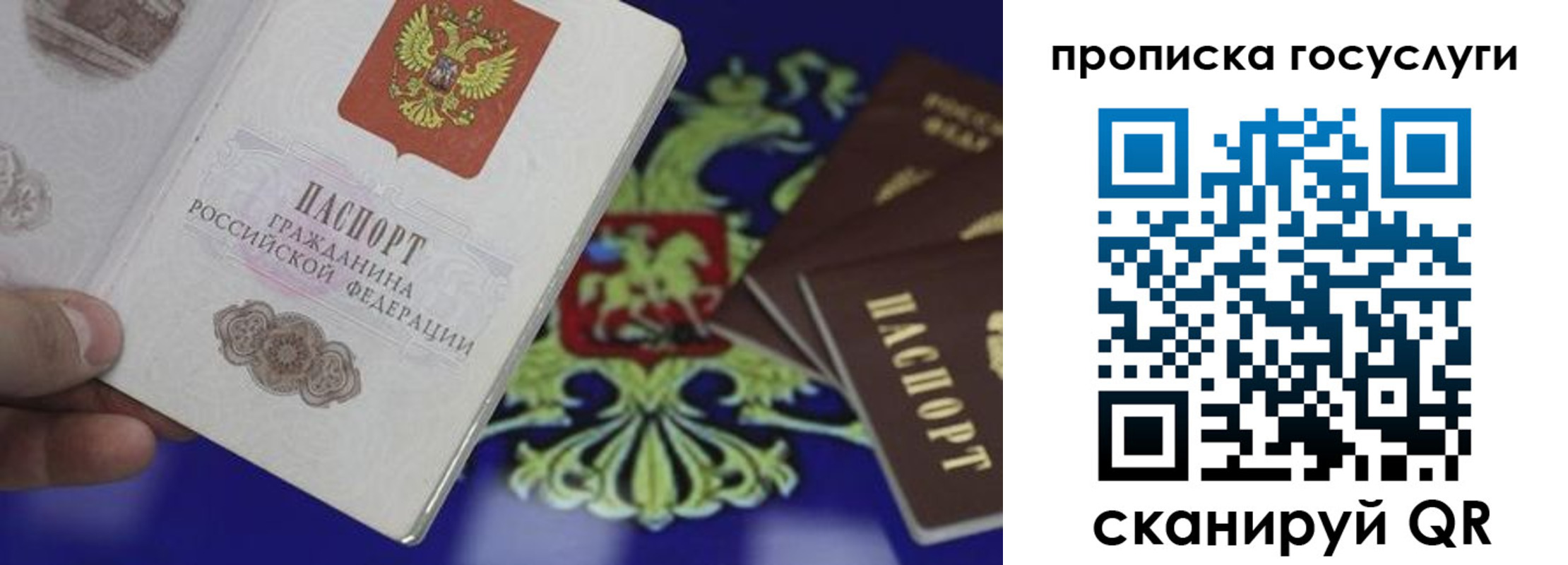 прописка для школы в Суровикино